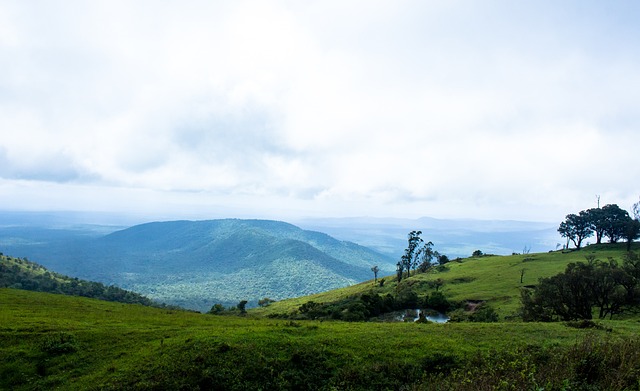 亚冠成都蓉城迎战神户胜利船：周定洋坐镇中场 韦世豪和德尔加多领衔锋线