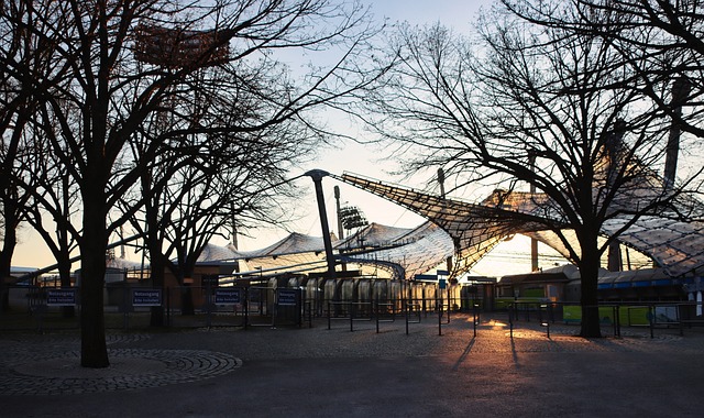 本土球员的 本土球员的