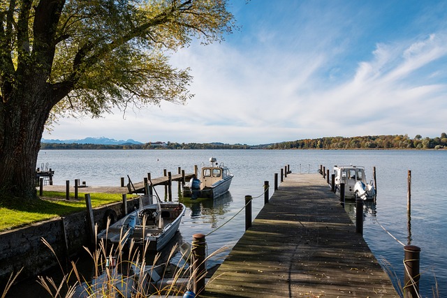 著他希望在 著他希望在