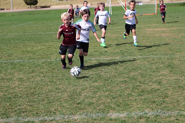 所能比拟 所能比拟