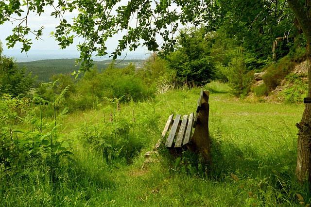 因此在客场 因此在客场